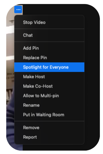 Zoom app - select "spotlight"