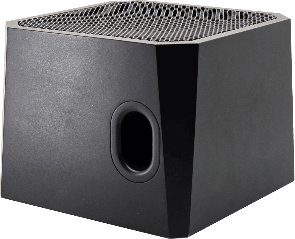 Aurora 25-Watt Dante/AES67 4.5” woofer speaker