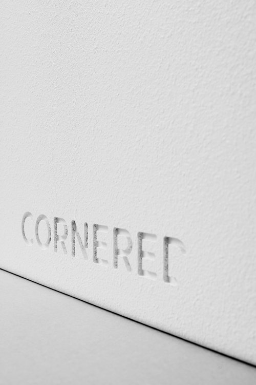Cornered Audio C12S Shallow on-wall subwoofer