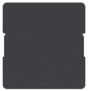 Aurora Blank cover for LAN port