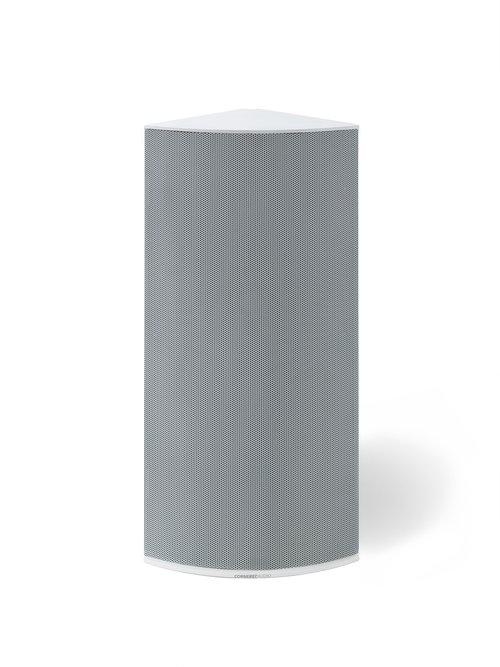 Cornered Audio Ci4-V 4" woofer with 4” slave